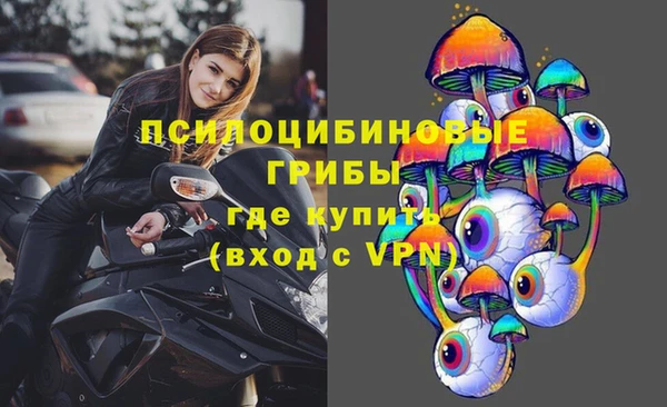 spice Бугульма