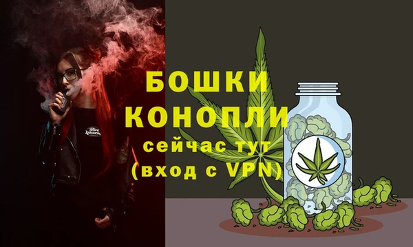 spice Бугульма