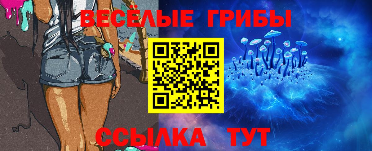 Волжск  Галлюциногенные грибы мицелий  купить наркоту  Вход с VPN  Галлюциногенные грибы Cubensis 